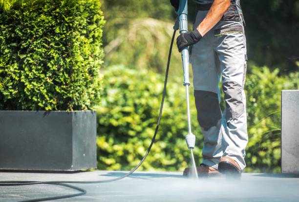 Animal Enclosure Cleaning in Essexville, MI