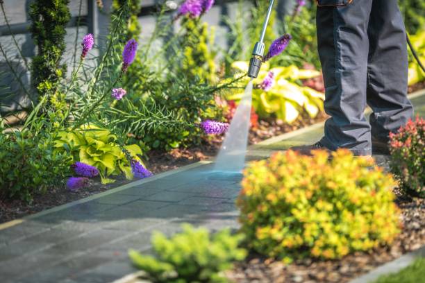 Best Fence Cleaning  in Essexville, MI
